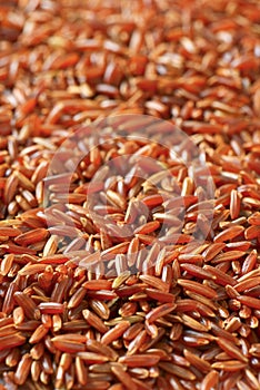 Camargue red rice