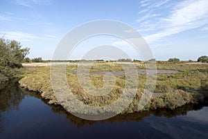 Camargue wild landscape at autumn