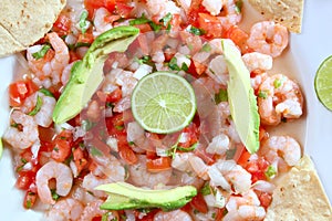 Camaron shrimp ceviche raw seafood salad Mexico