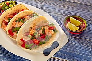 Camaron shrimp tacos mexican food on blue