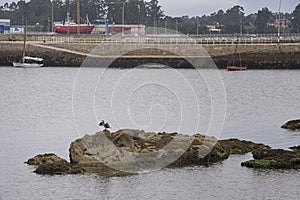 Cambados port in the Rias Bajas, Pontevedra, Galicia, Spain