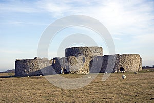 Camber Castle