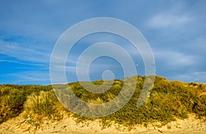 Camber Sands Beach Dune-5