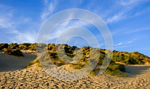Camber Sands Beach Dune-6