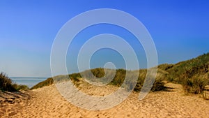 Camber Sands Beach Dune-2 photo