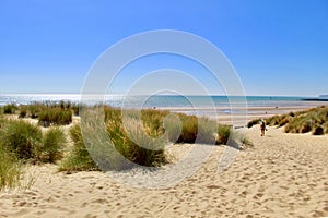 Camber sands photo