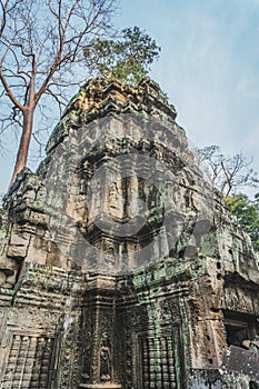 Cambodia Angkor Wat Ta Prohm Temple Tomb Raider Tree Roots Ruins