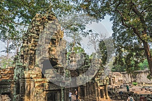 Cambodia Angkor Wat Ta Prohm Temple Tomb Raider Tree Roots Ruins