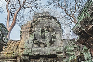 Cambodia Angkor Wat Ta Prohm Temple Tomb Raider Tree Roots Ruins