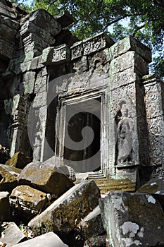 Cambodia - Detail of Ta Prohm temple