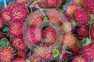 Cambodia. Kep. Crab market. Exotic fruit. Litchee