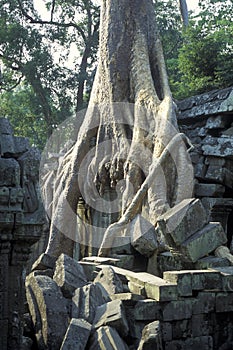 CAMBODIA SIEM REAP ANGKOR PREAH KHAN TEMPLE