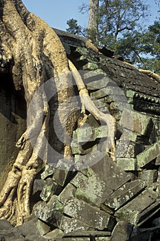 CAMBODIA SIEM REAP ANGKOR PREAH KHAN TEMPLE