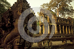 CAMBODIA SIEM REAP ANGKOR PREAH KHAN TEMPLE