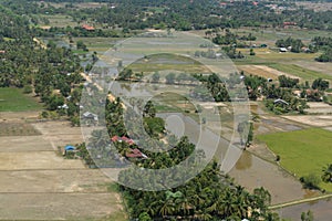 CAMBODIA SIEM REAP LANDSCAPE RICEFIELD