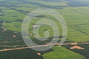 CAMBODIA SIEM REAP LANDSCAPE RICEFIELD