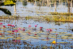 Cambodia Siem Reap Neak Pean