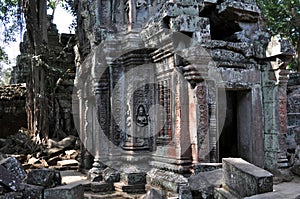 Cambodia - Ta Prohm temple