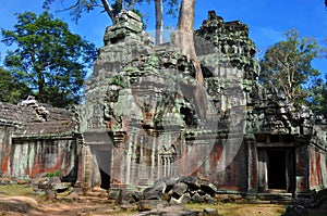 Cambodia - Ta Prohm temple