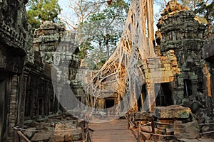 Cambodia. Ta Prohm temple. Siem Reap city. Siem Reap province