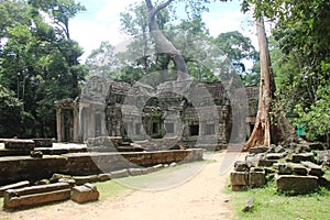 Cambodia. Ta Prohm Temple. Siem Reap Province. Siem Reap City.