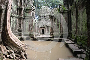 Cambodia. Ta Prohm Temple. Siem Reap Province. Siem Reap City.