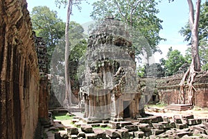 Cambodia. Ta Prohm Temple. Siem Reap Province. Siem Reap City.