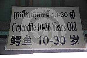 Cambodian Crocodile Farm
