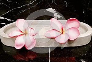 Cambodian flowers are often found in wedding ceremonies, especially in Bali as a symbol of love, hope and life