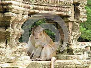 Cambodian temple