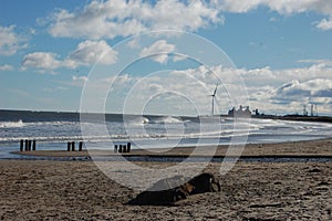 Cambois beach, looking south towards North Blyth