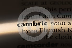 cambric