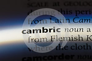 cambric