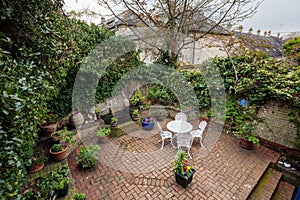 Elevated view of urban garden