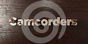 Camcorders - grungy wooden headline on Maple - 3D rendered royalty free stock image