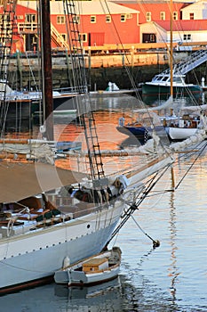 Camden Harbor photo