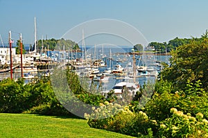 Camden harbor Maine seen in a floral setting