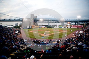 Camden Riversharks