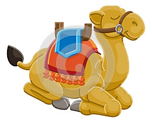 Camel Animal Cartoon Character