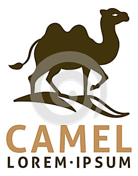 Camel Animal Design Illustration Mascot Icon