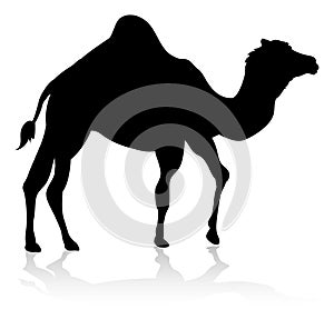 Camel Animal Silhouette