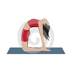 camel asana. Vector illustration decorative design