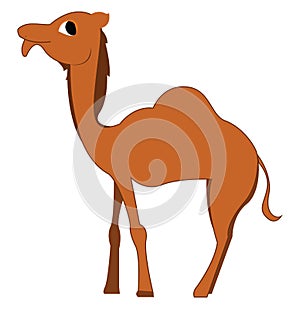 A camel with big eyes, vector or color illustration