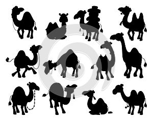 Camel black silhouettes. Isolated desert animals collection. Arabian camels caravan, simple silhouette. Decorative