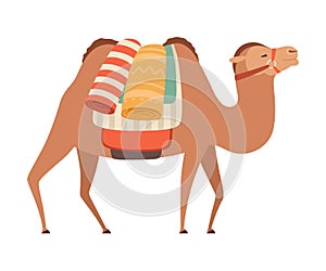 Camel with Bridle and Saddle, Desert Animal with Load, Side View Vector Illustration