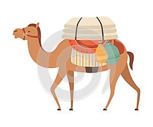 Camel with Bridle and Saddle, Desert Animal Walking with Load, Side View Vector Illustration