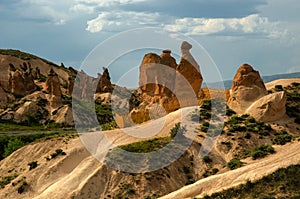 The Camel, Cappadocia