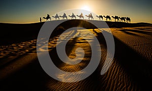 Camel Caravan