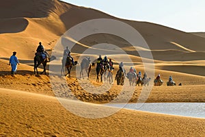 Camel caravan