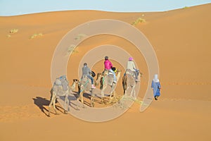 Camel caravan in Africa sand desert dunes